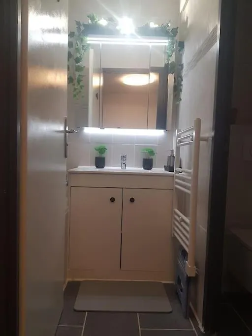 דירות טולוז Appt Cosy Entier Avec Piscine